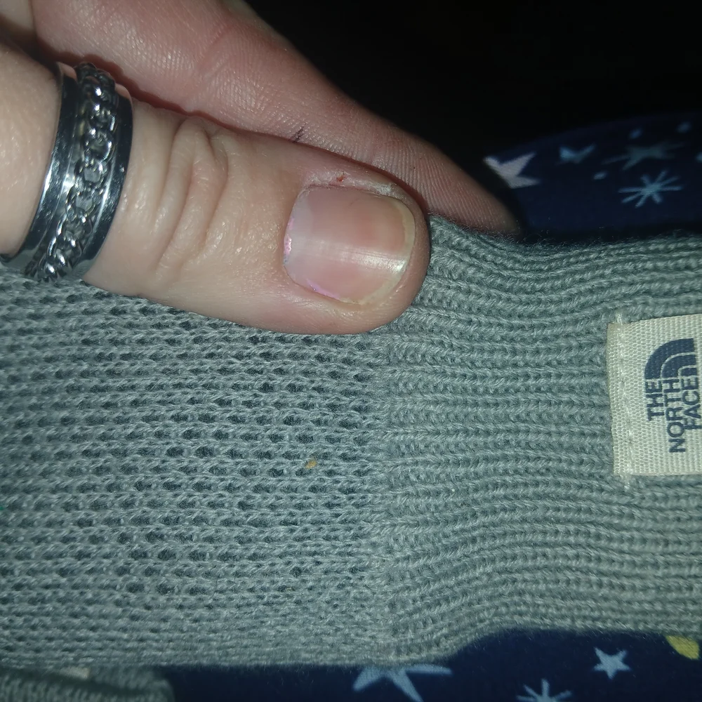 Gray The North Face Pair Of Hand Warmers